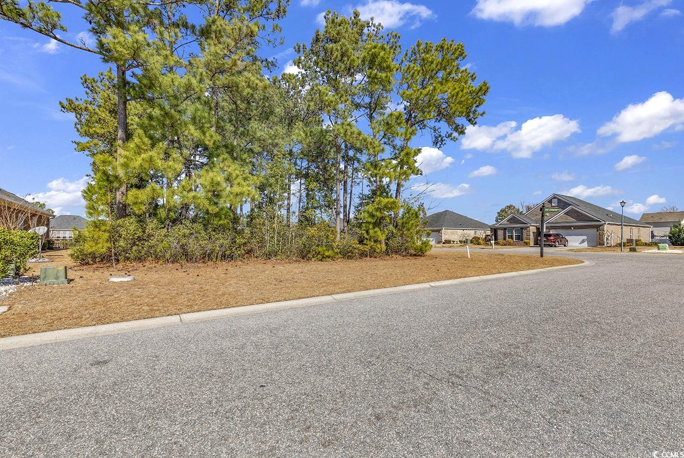 700 Chisholm Road Myrtle Beach, SC 29579 - Photo 4 of 13 Gallery Image 4