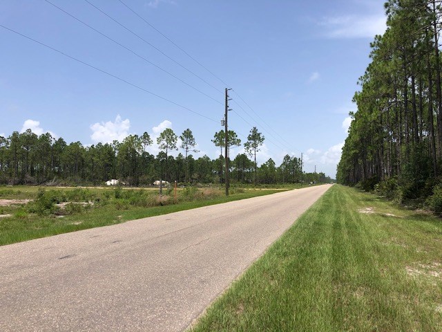 Tbd Jones Homestead Road Port St. Joe, FL 32456 - Photo 2 of 6