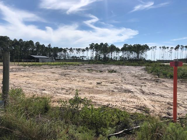 Tbd Jones Homestead Road Port St. Joe, FL 32456 - Photo 3 of 6