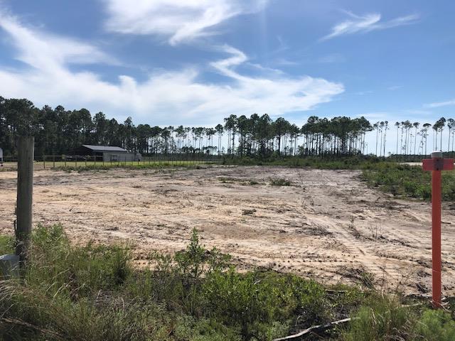 Tbd Jones Homestead Road Port St. Joe, FL 32456 - Photo 4 of 6