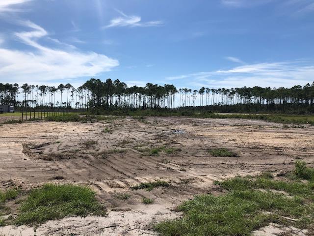 Tbd Jones Homestead Road Port St. Joe, FL 32456 - Photo 5 of 6