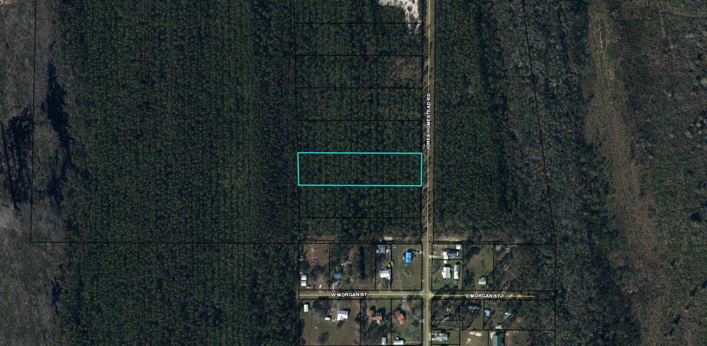 Tbd Jones Homestead Road Port St. Joe, FL 32456 - Photo 6 of 6