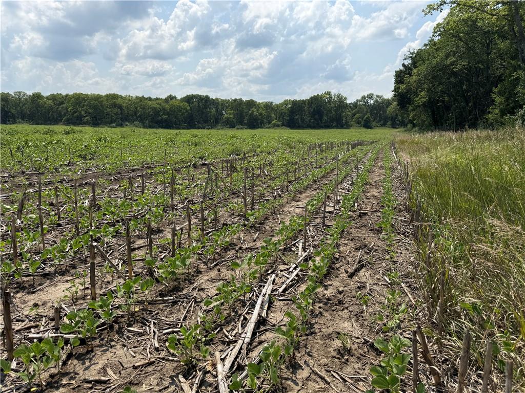 0 South Fairlawn Road Wakarusa, KS 66546 - Photo 44 of 72