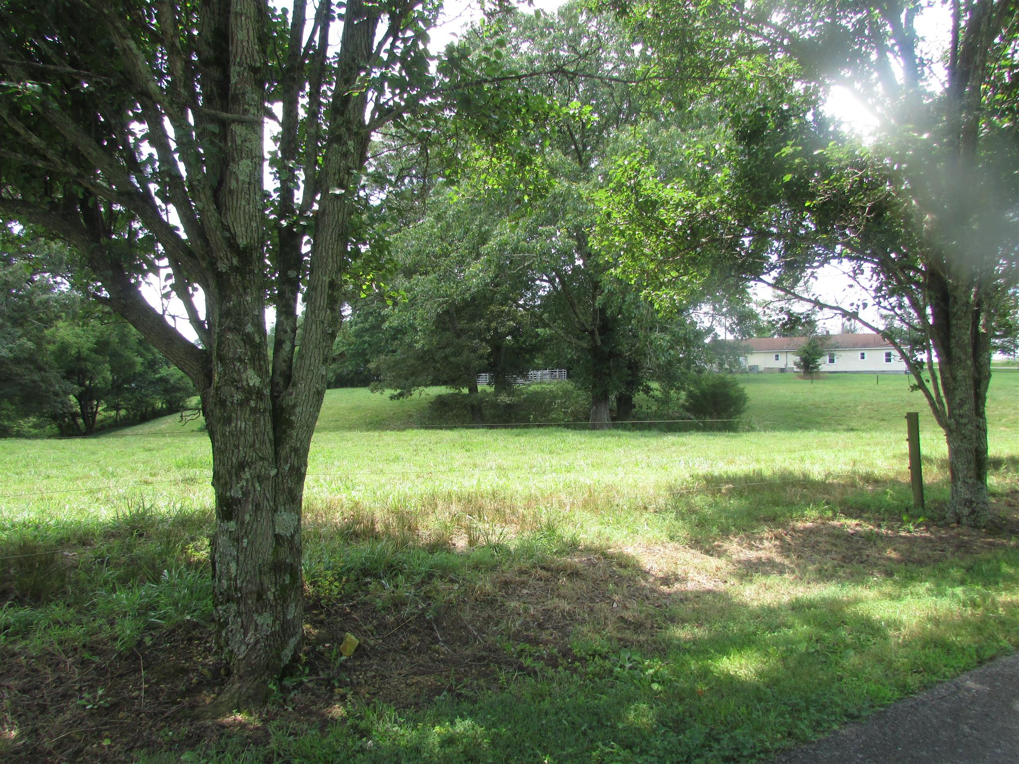 0 Rabbit Trail Road East Leoma, TN 38468 - Photo 3 of 3