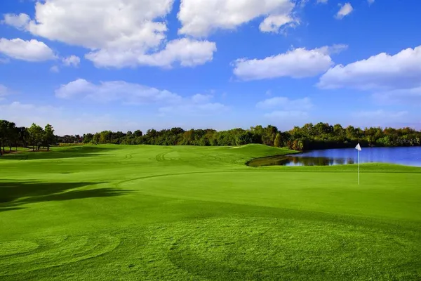 an aerial view of residential houses with outdoor space and ocean view