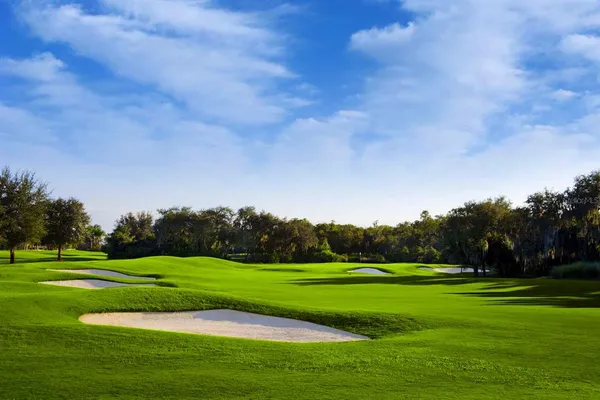 an aerial view of a house with a swimming pool