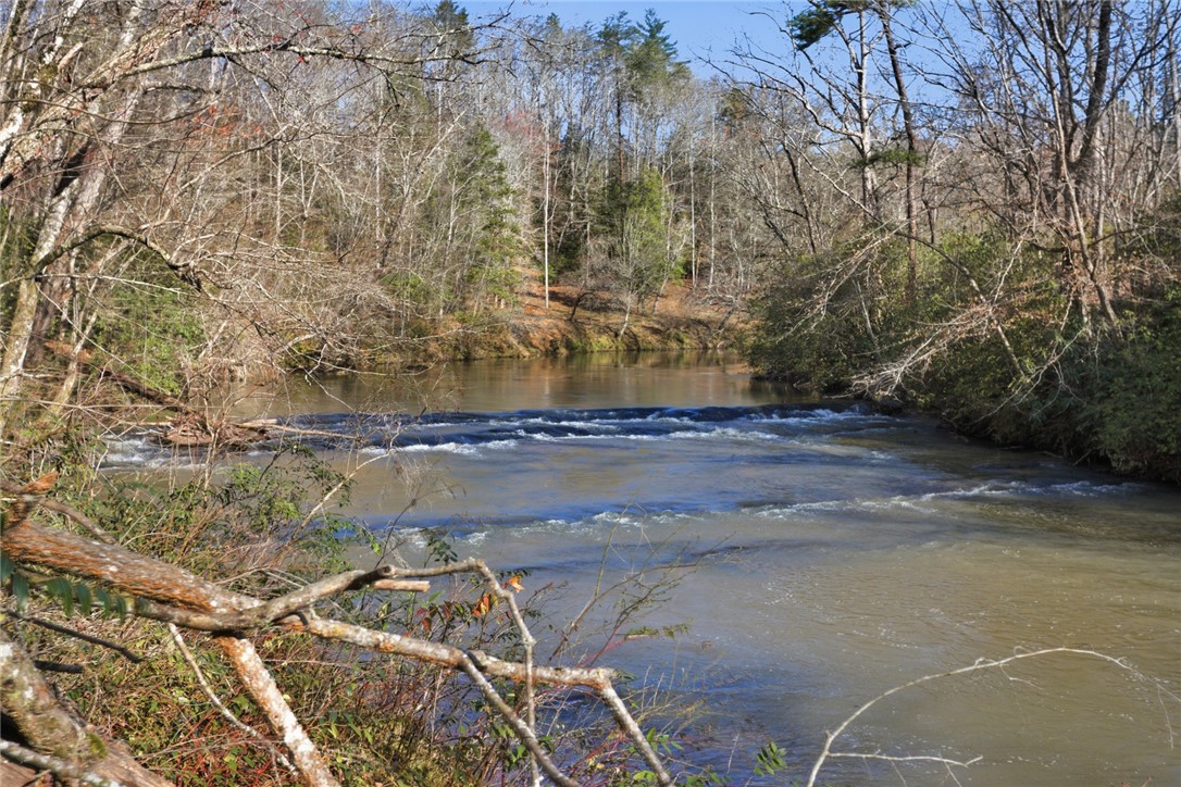 320 Holly Lane Walhalla, SC 29691 - Photo 6 of 41 This tranquil river view offers a peaceful natural setting.
