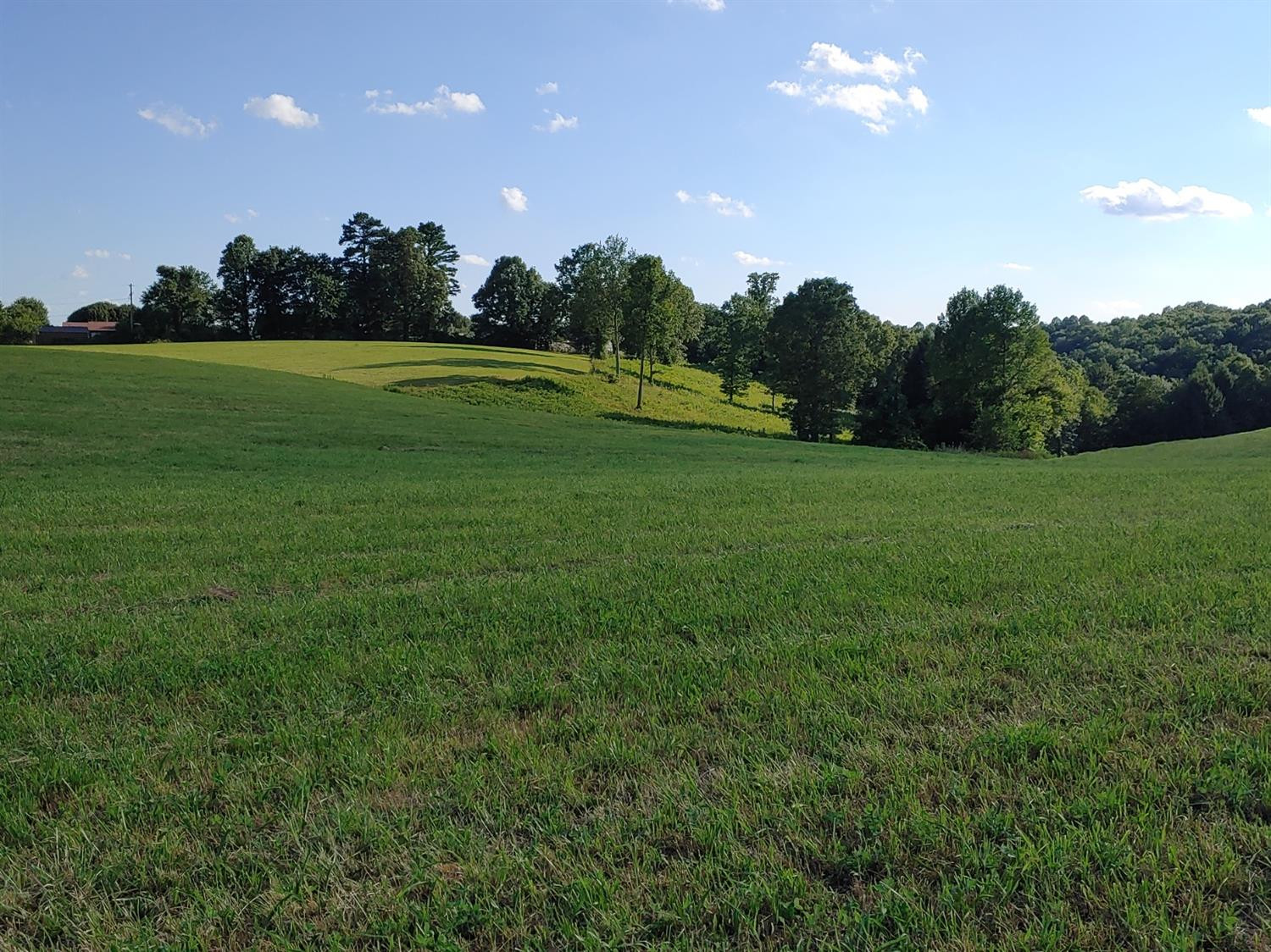 988 County Farm Road, Unit 5 London, KY 40741 - Photo 1 of 4 Photo 1