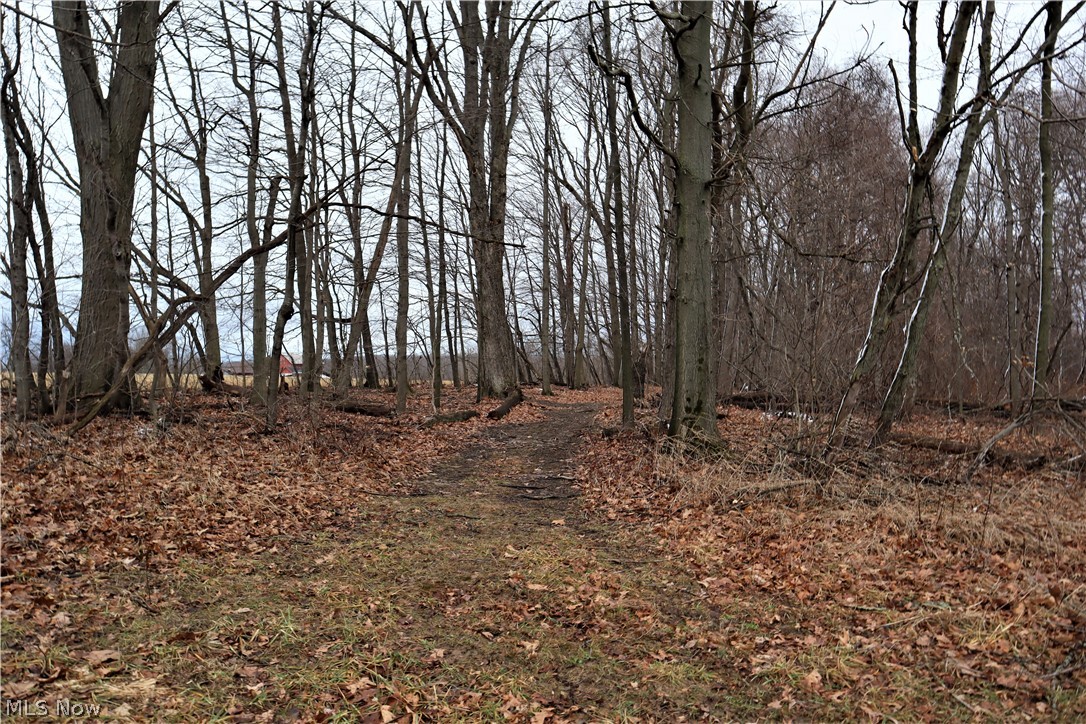 8544 River Styx Road Wadsworth, OH 44281 - Photo 34 of 35 Trail head.