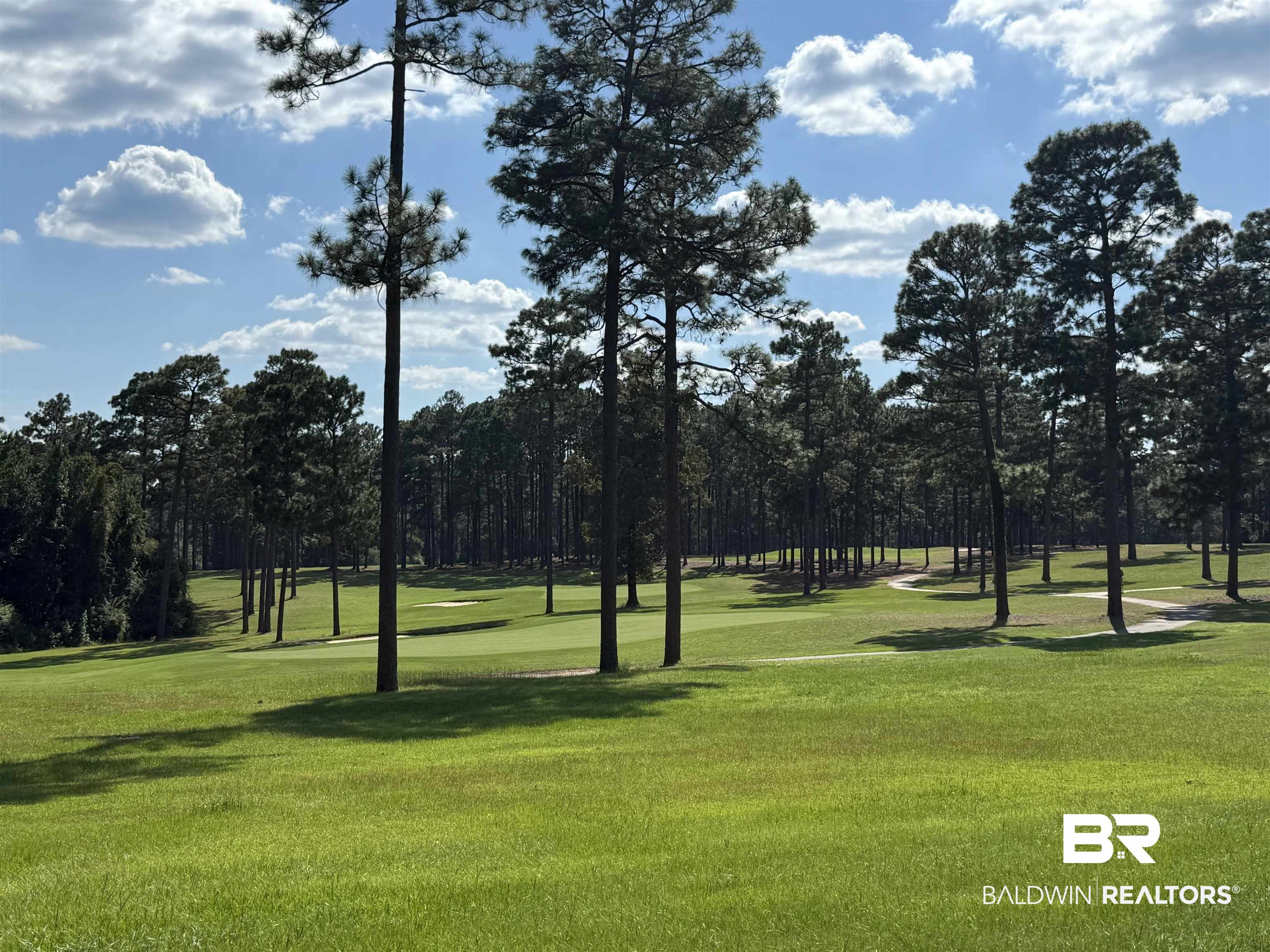 415 Juniper Creek Road Brewton, AL 36426 - Photo 26 of 35 Surrounding community with a yard and view of wooded area