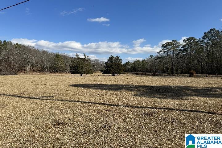 1036 Rushing Springs Road Lincoln, AL 35096 - Photo 46 of 58