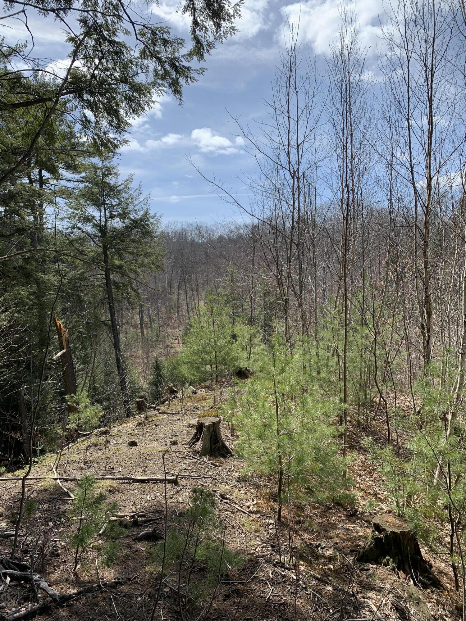 36 Pebble Road Jefferson, ME 04348 - Photo 58 of 59 Wooded Acreage