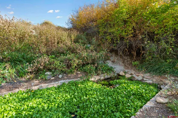 a view of a swimming pool