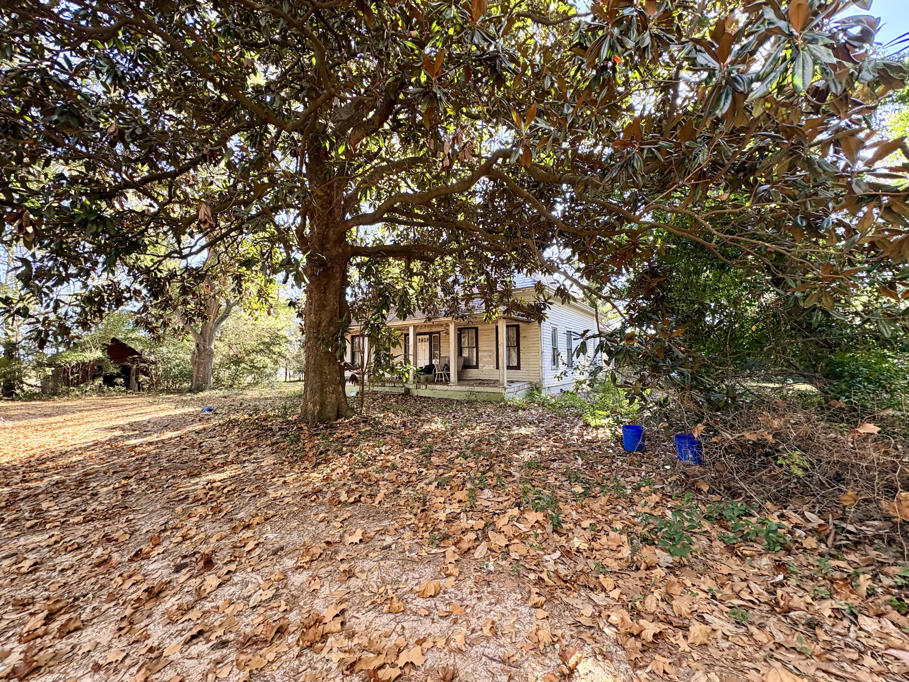 1409 Fairview Road Pelion, SC 29123 - Photo 51 of 52