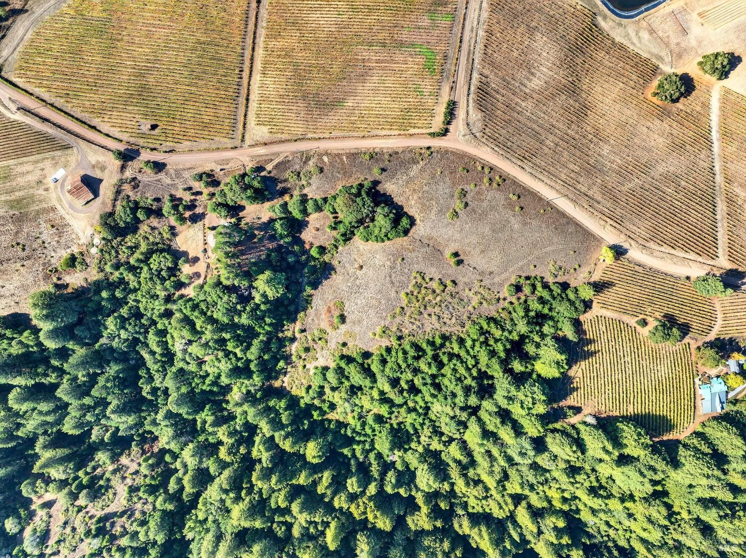2333 Guntley Road Philo, CA 95466 - Photo 5 of 57 Gallery Image 5