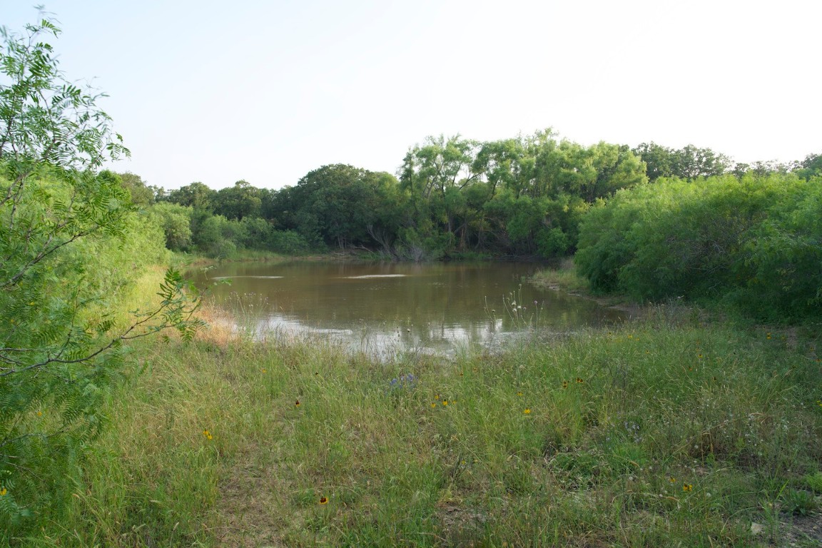 Tbd Taylorsville Road Red Rock, TX 78662 - Photo 17 of 33 a view of a lake in middle of forest