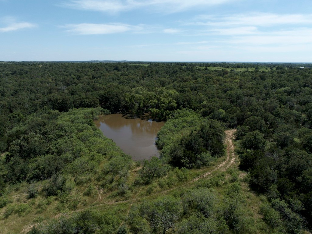 Tbd Taylorsville Road Red Rock, TX 78662 - Photo 2 of 33 an aerial view of residential house with outdoor space