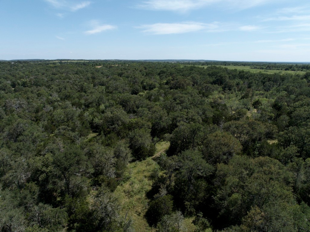 Tbd Taylorsville Road Red Rock, TX 78662 - Photo 27 of 33 an aerial view of residential house with green space