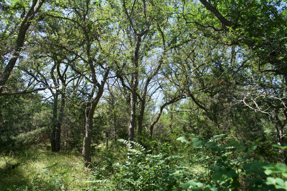 Tbd Taylorsville Road Red Rock, TX 78662 - Photo 29 of 33 a backyard of a house with lots of green space