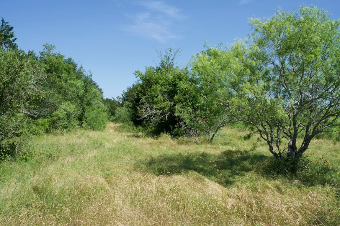Tbd Taylorsville Road Red Rock, TX 78662 - Photo 33 of 33 a view of a lush green space