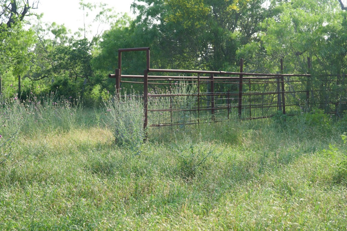 Tbd Taylorsville Road Red Rock, TX 78662 - Photo 5 of 33