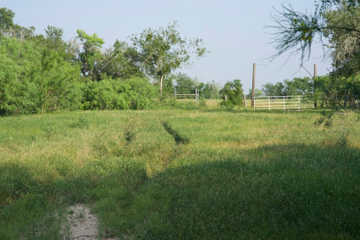Tbd Taylorsville Road Red Rock, TX 78662 - Photo 8 of 33 a view of a field of grass and trees