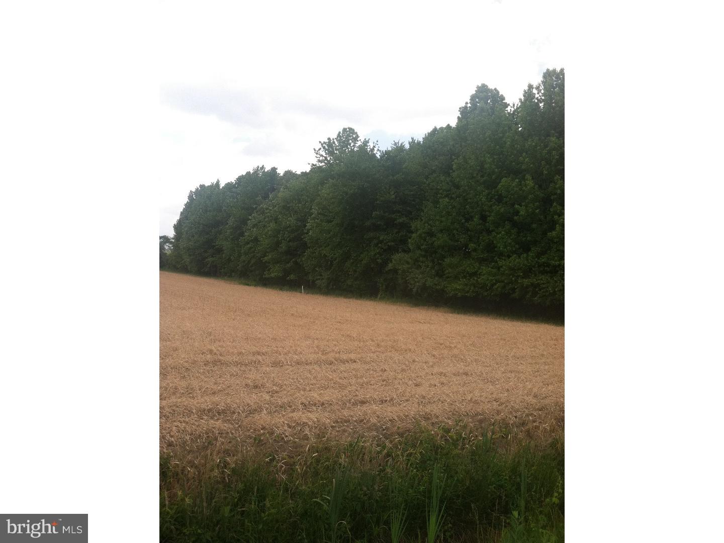 102 Stacy Haines Road Lumberton, NJ 08048 - Photo 1 of 1 Gallery Image 1