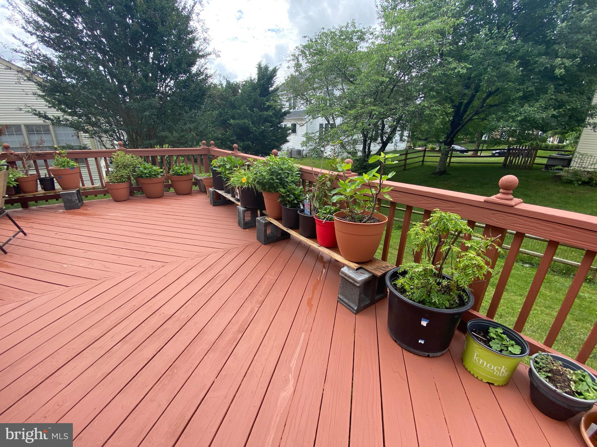 10614 Maplecrest Lane Potomac, MD 20854 - Photo 43 of 51
