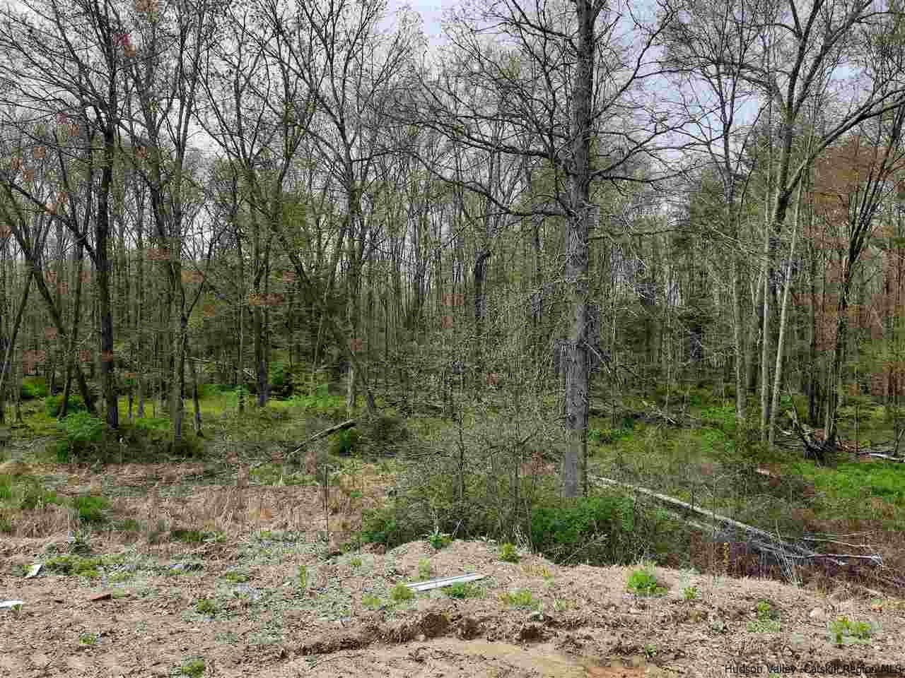 858 Wallkill Avenue Wallkill, NY 12589 - Photo 4 of 9 a view of a forest filled with trees