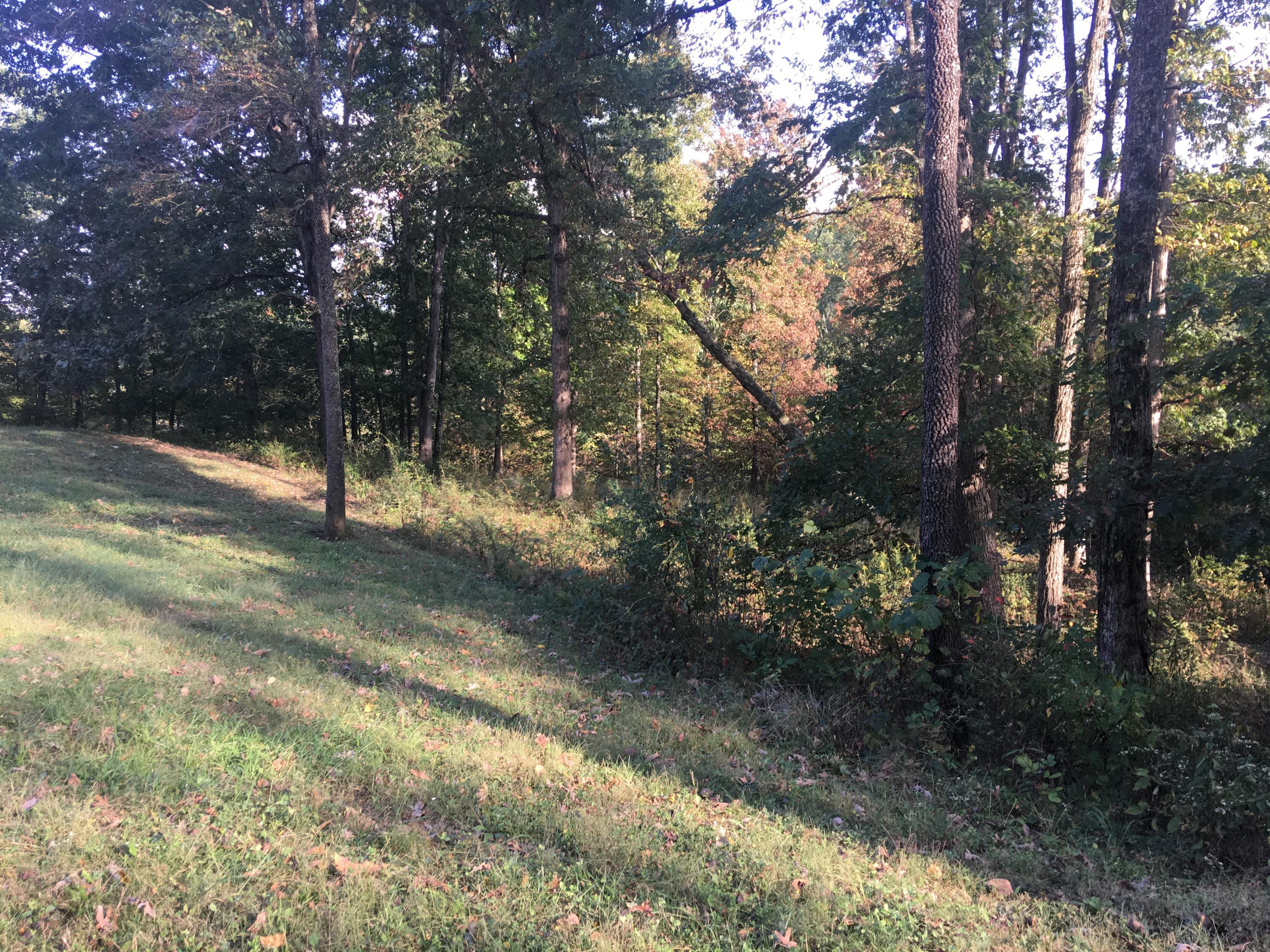 3760 Perry Ridge Nelsonville, OH 45764 - Photo 4 of 9