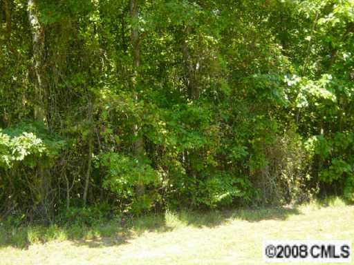 1735 Hopewell Road Catawba, NC 28609 - Photo 3 of 4 Gallery Image 3