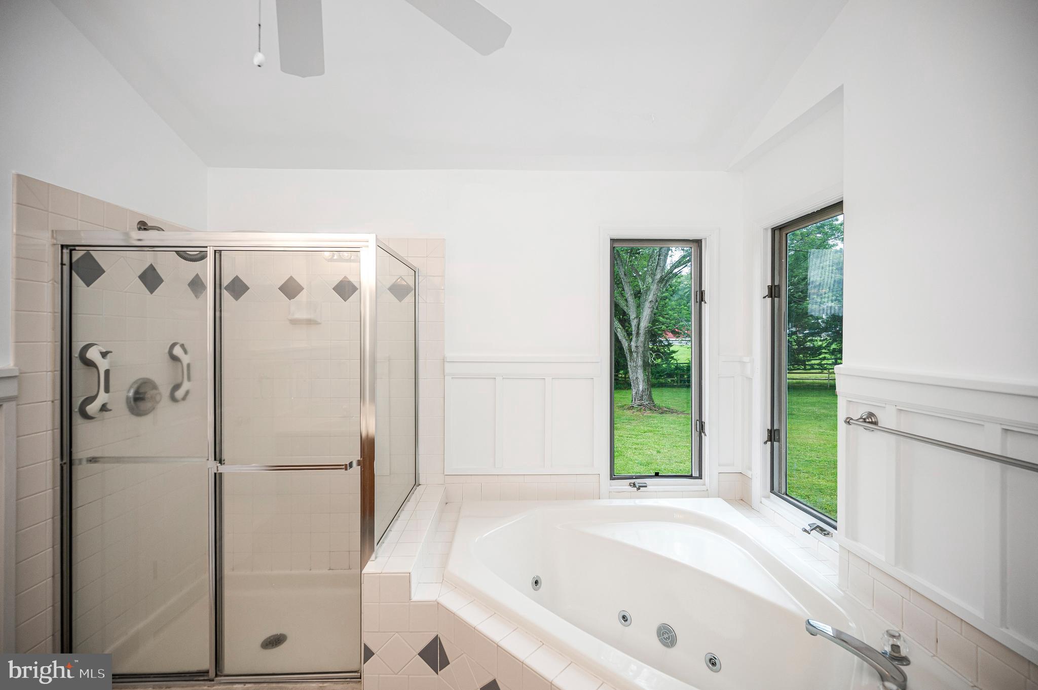6317 Louisianna Road Locust Grove, VA 22508 - Photo 23 of 57 Stand up shower or soak in the tub, your choice!