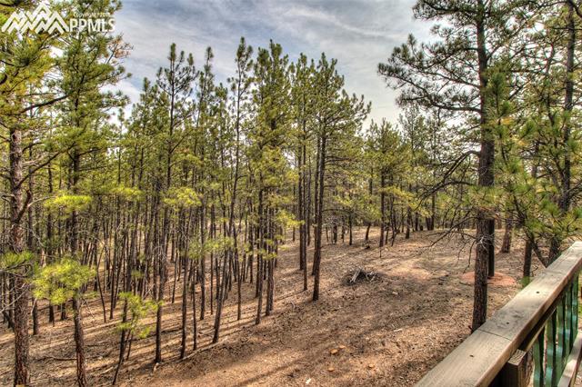 94 Pickens Road Florissant, CO 80816 - Photo 13 of 22