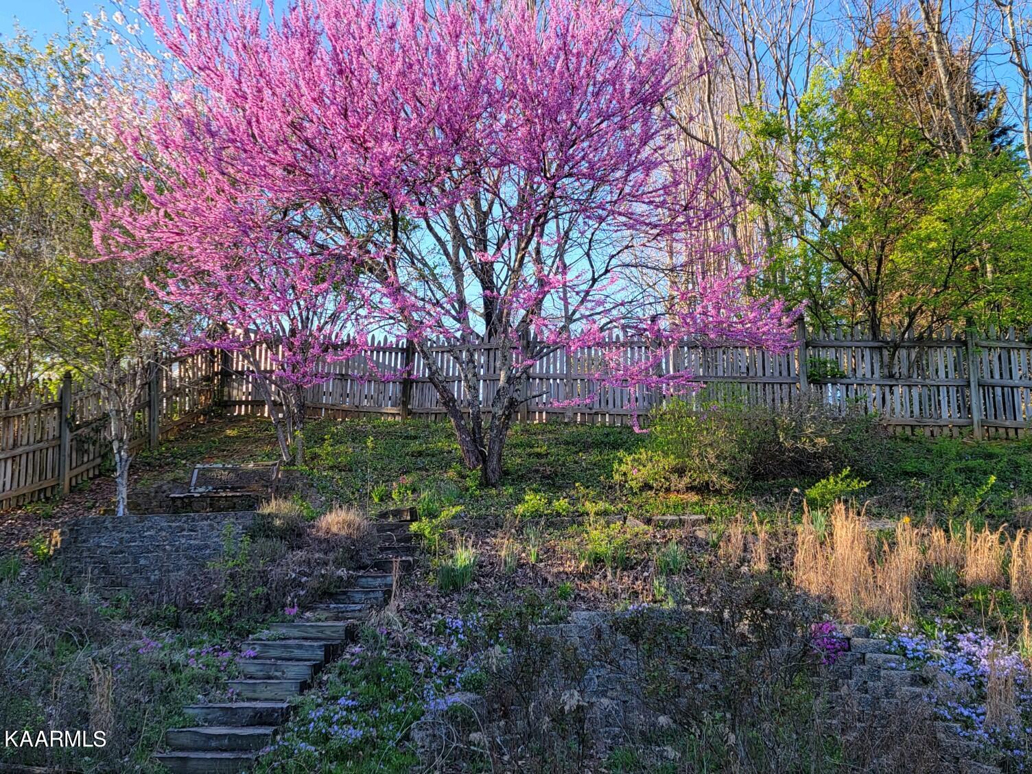 1146 Mortons Meadow Road Knoxville, TN 37932 - Photo 15 of 54 Fenced in backyard