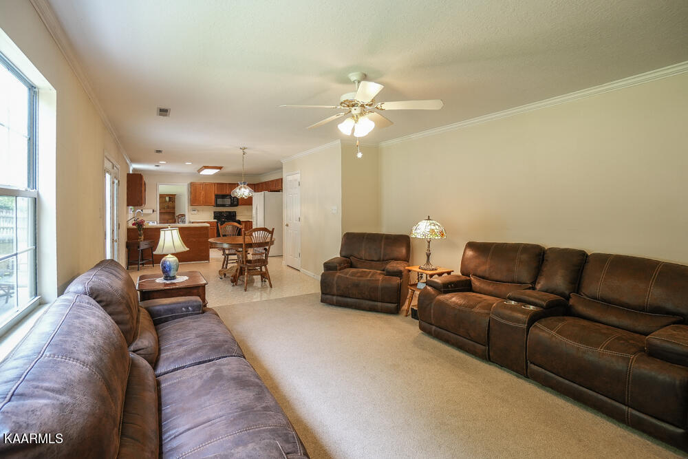 1146 Mortons Meadow Road Knoxville, TN 37932 - Photo 32 of 54 Living Room