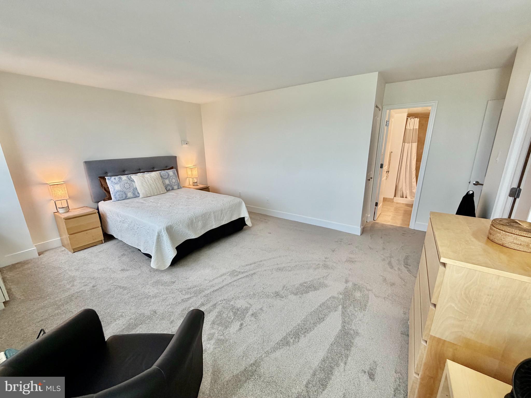 1220 Blair Mill Road, Unit 905 Silver Spring, MD 20910 - Photo 11 of 30 Primary Bedroom w/ensuite bath & walk-in closet