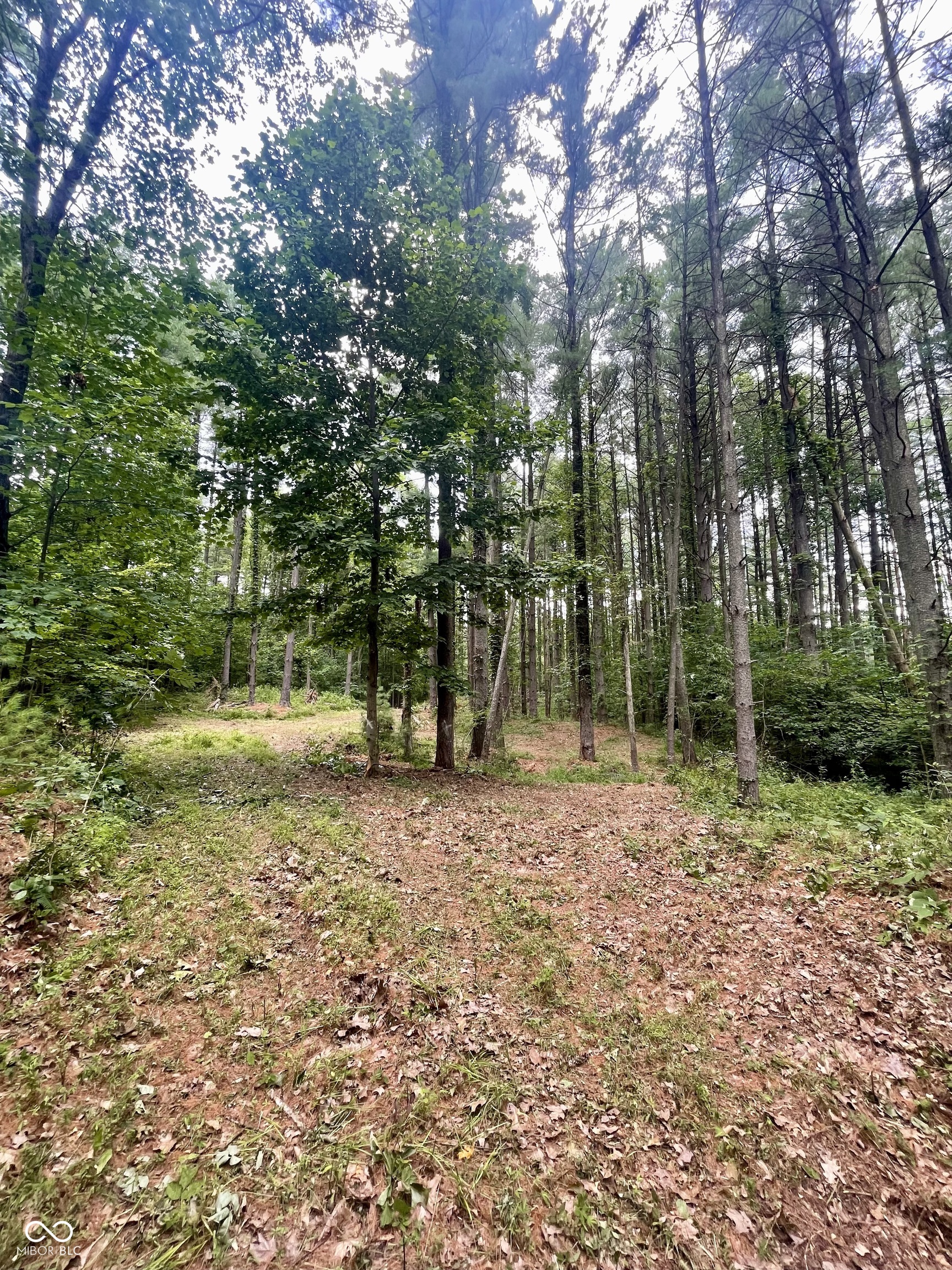7288 South Becks Grove Road Freetown, IN 47235 - Photo 5 of 8