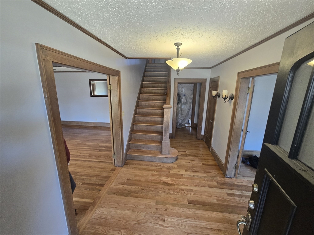 40 Catalpa Terrace Springfield, MA 01119 - Photo 4 of 24 a view of entryway and hall with wooden floor