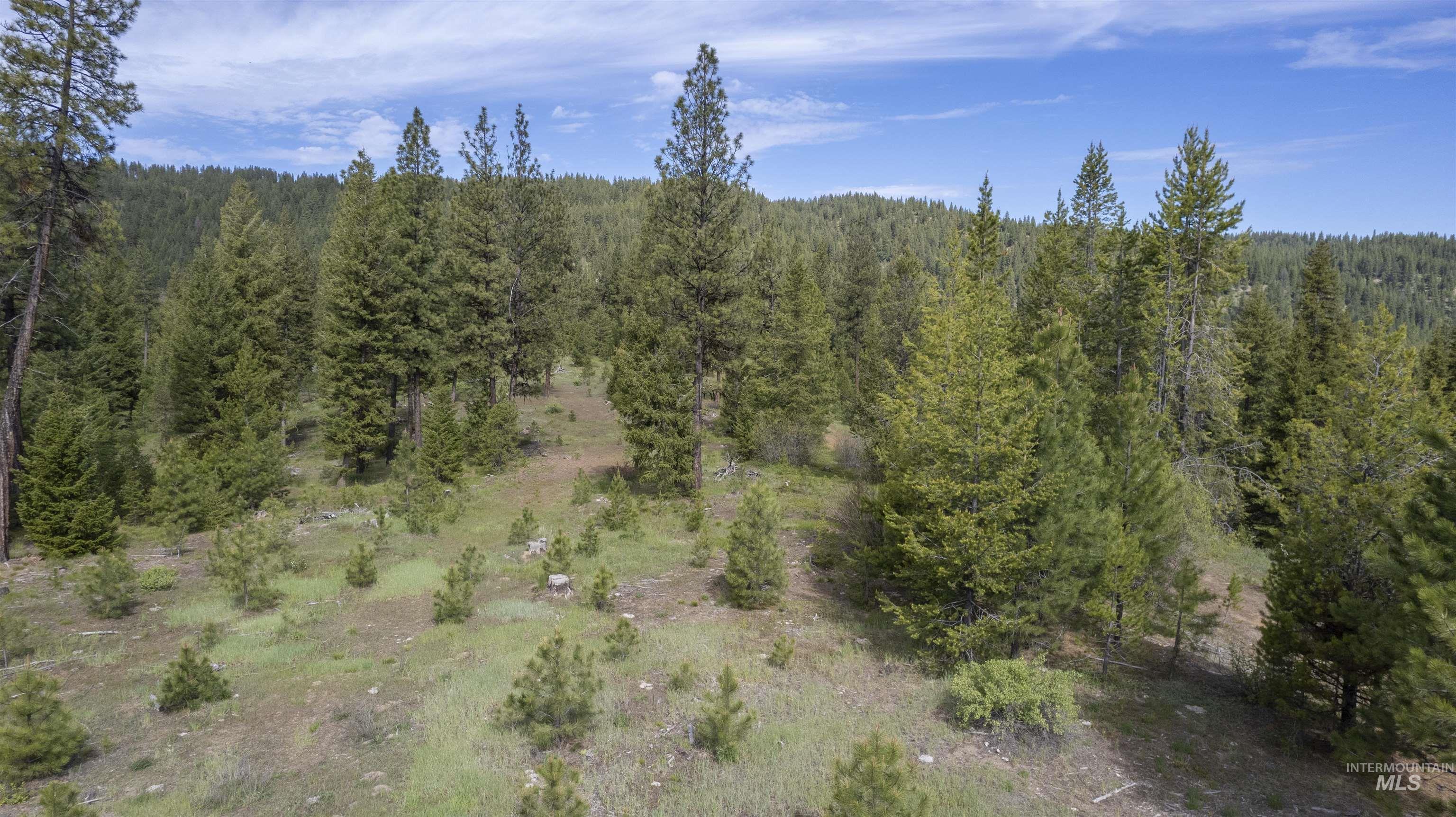 34 Clear Creek Road Cascade, ID 83611 - Photo 10 of 10