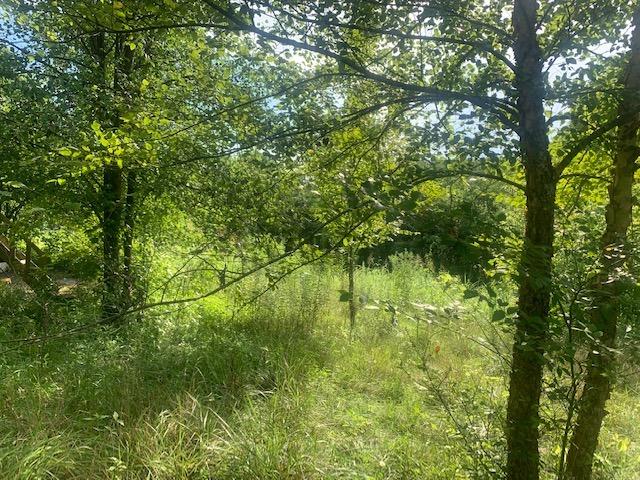 1922 North Comley Hill Road Madison, IN 47250 - Photo 1 of 8