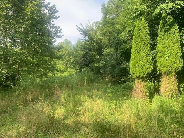 1922 North Comley Hill Road Madison, IN 47250 - Photo 2 of 8