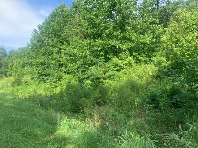 1922 North Comley Hill Road Madison, IN 47250 - Photo 6 of 8