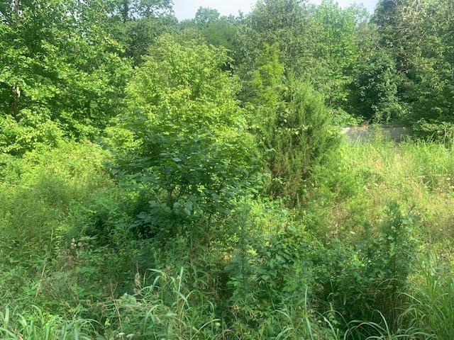 1922 North Comley Hill Road Madison, IN 47250 - Photo 7 of 8