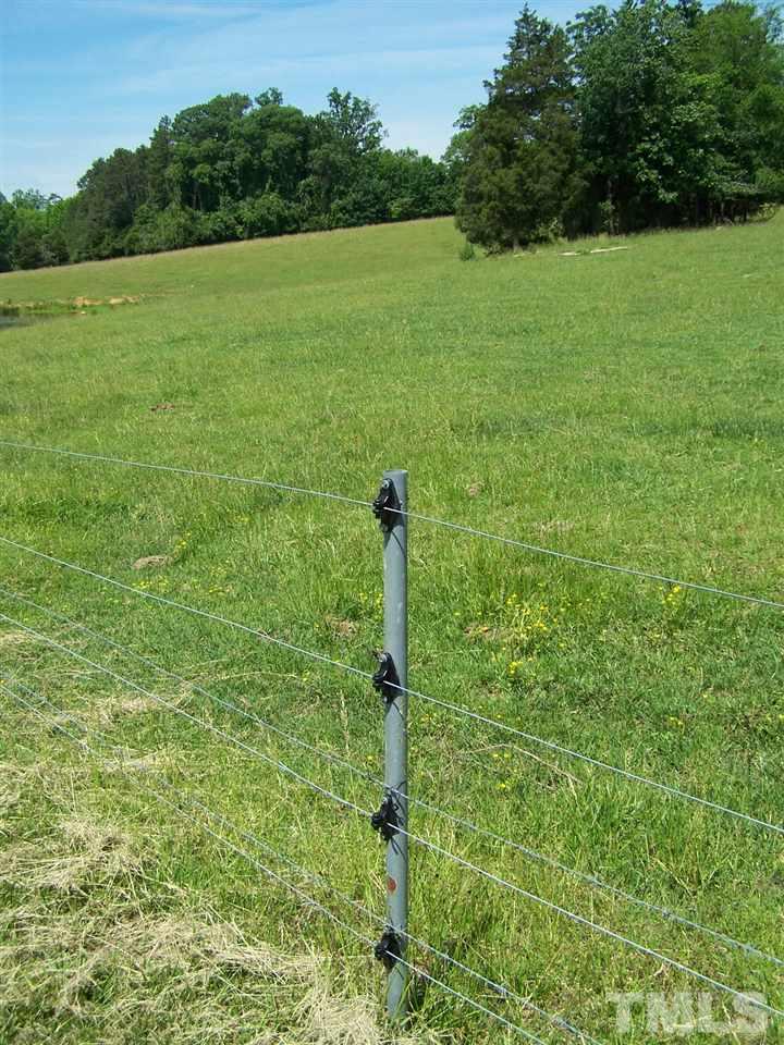 1475 Williamson Road Buffalo Junction, VA 24529 - Photo 9 of 20 Gallery Image 9