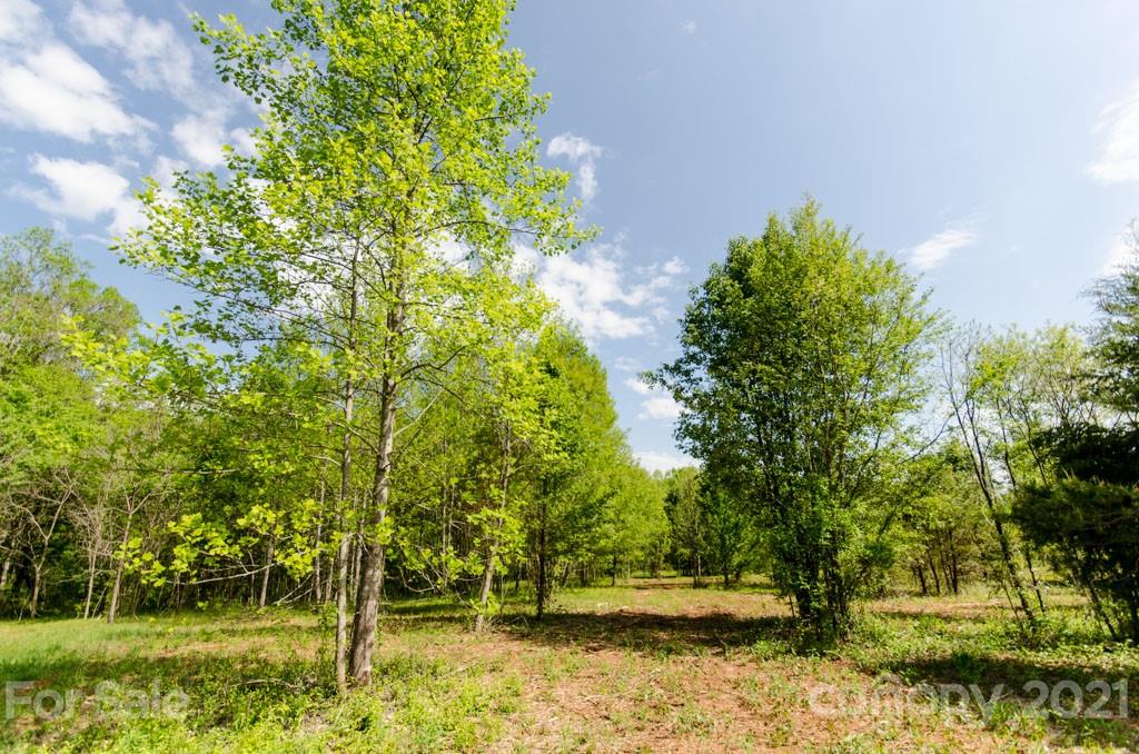 3150 Blackburn Bridge Road Lincolnton, NC 28092 - Photo 1 of 8 Gallery Image 1