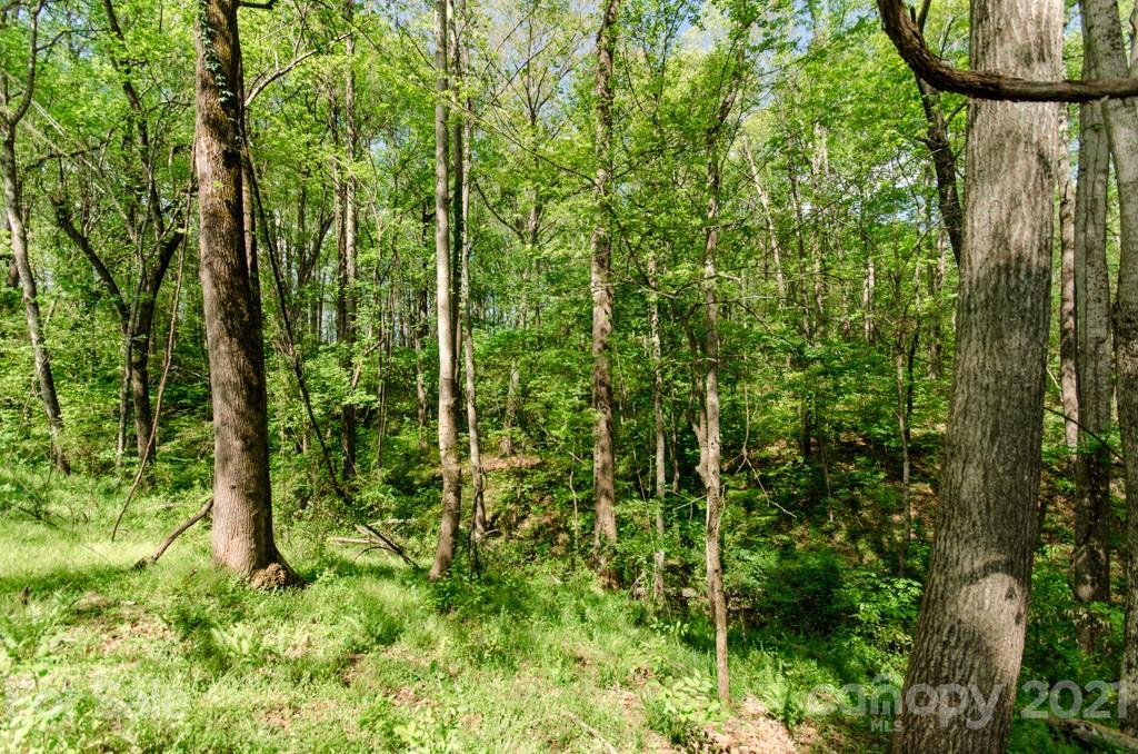 3150 Blackburn Bridge Road Lincolnton, NC 28092 - Photo 7 of 8 Gallery Image 7