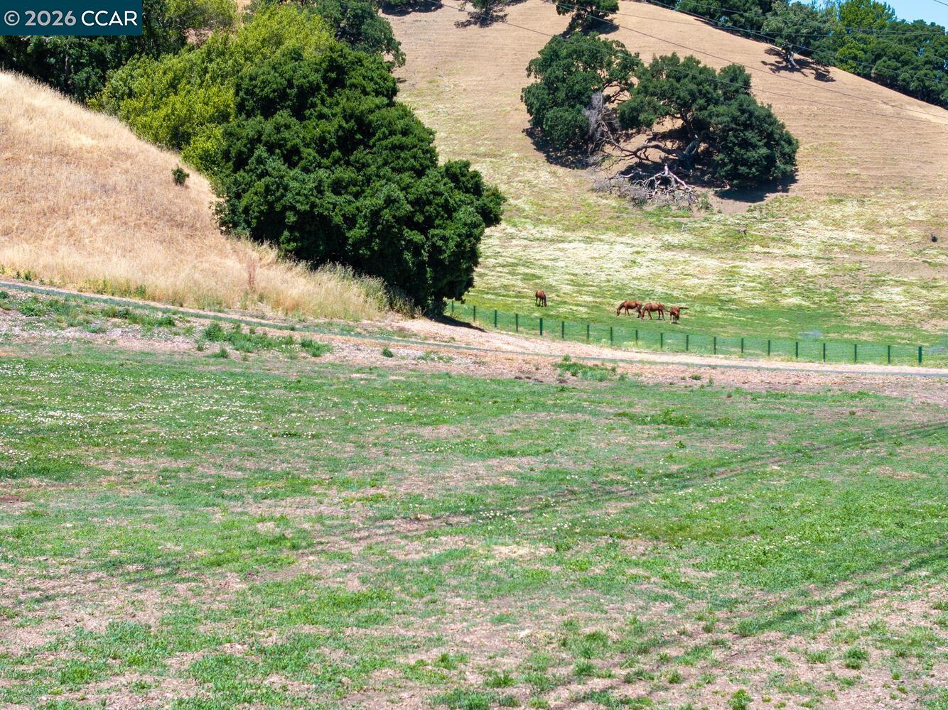 60 Hampton Road Martinez, CA 94553 - Photo 33 of 39