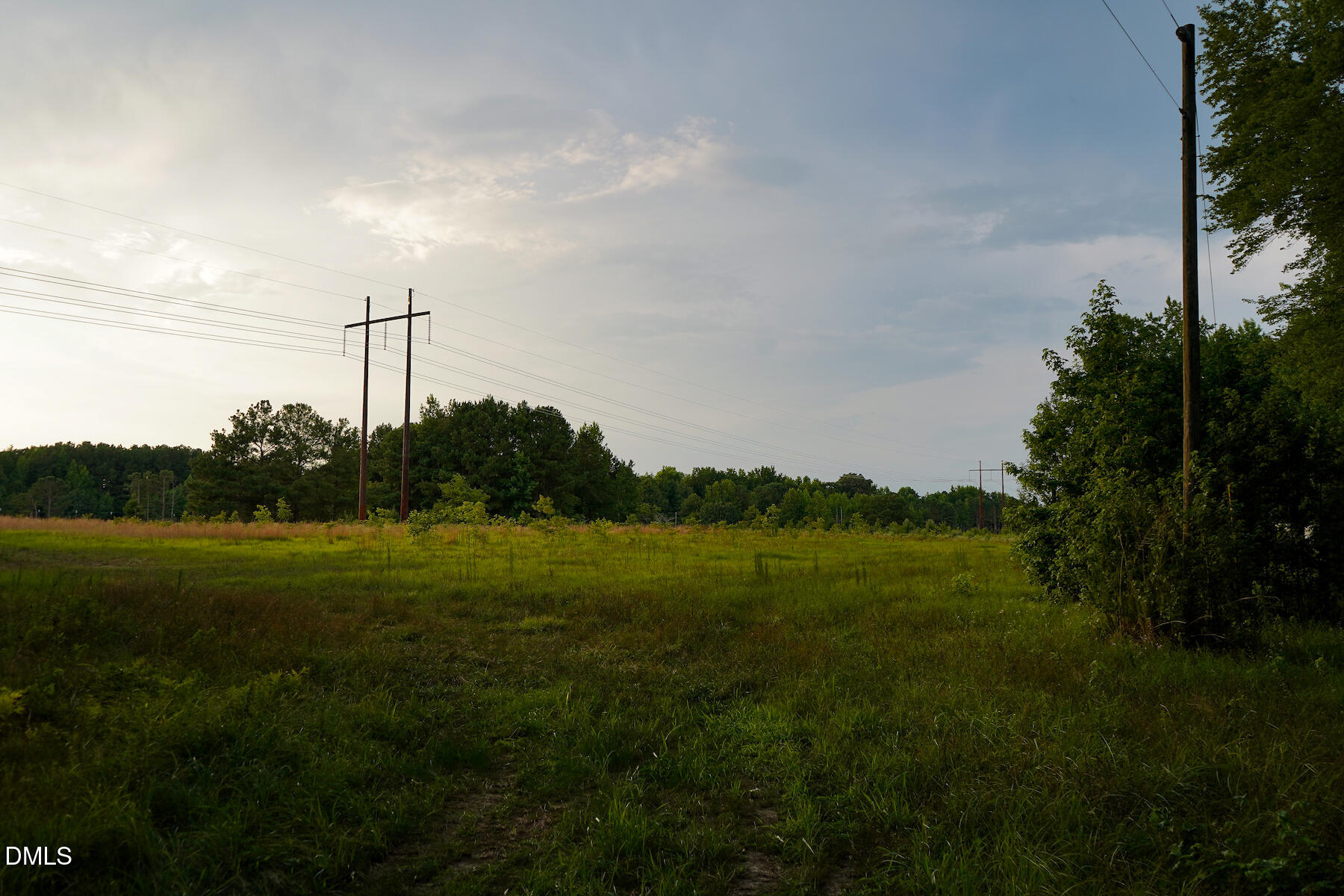 19.2-acres Bunnlevel Erwin Road Erwin, NC 28339 - Photo 16 of 34 16 Paras 19.3 Acres Bunnlevel Erwin Rd
