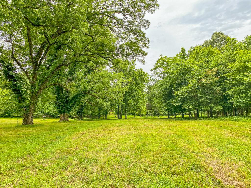 0 Frasier Road Lorman, MS 39096 - Photo 1 of 55 Main View