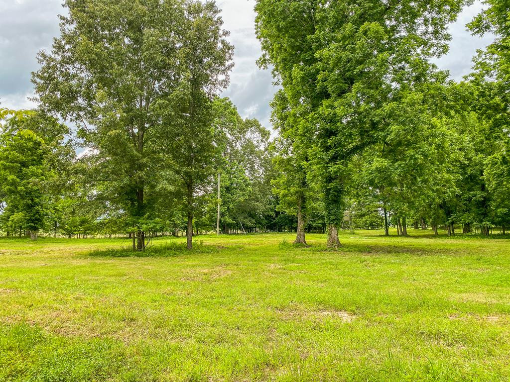 0 Frasier Road Lorman, MS 39096 - Photo 11 of 55 Photo 11